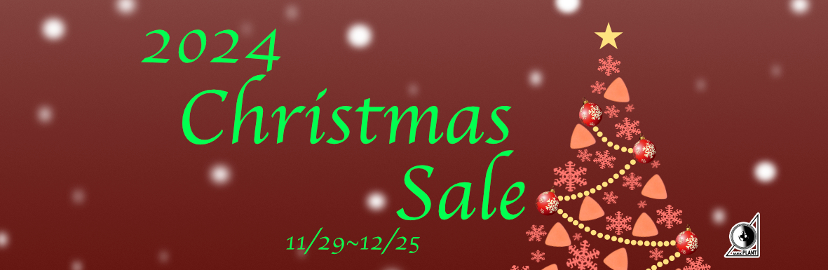 2024Christmas Sale