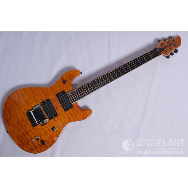 FERNANDES 全商品一覧 3ページ | MUSIC PLANT WEBSHOP