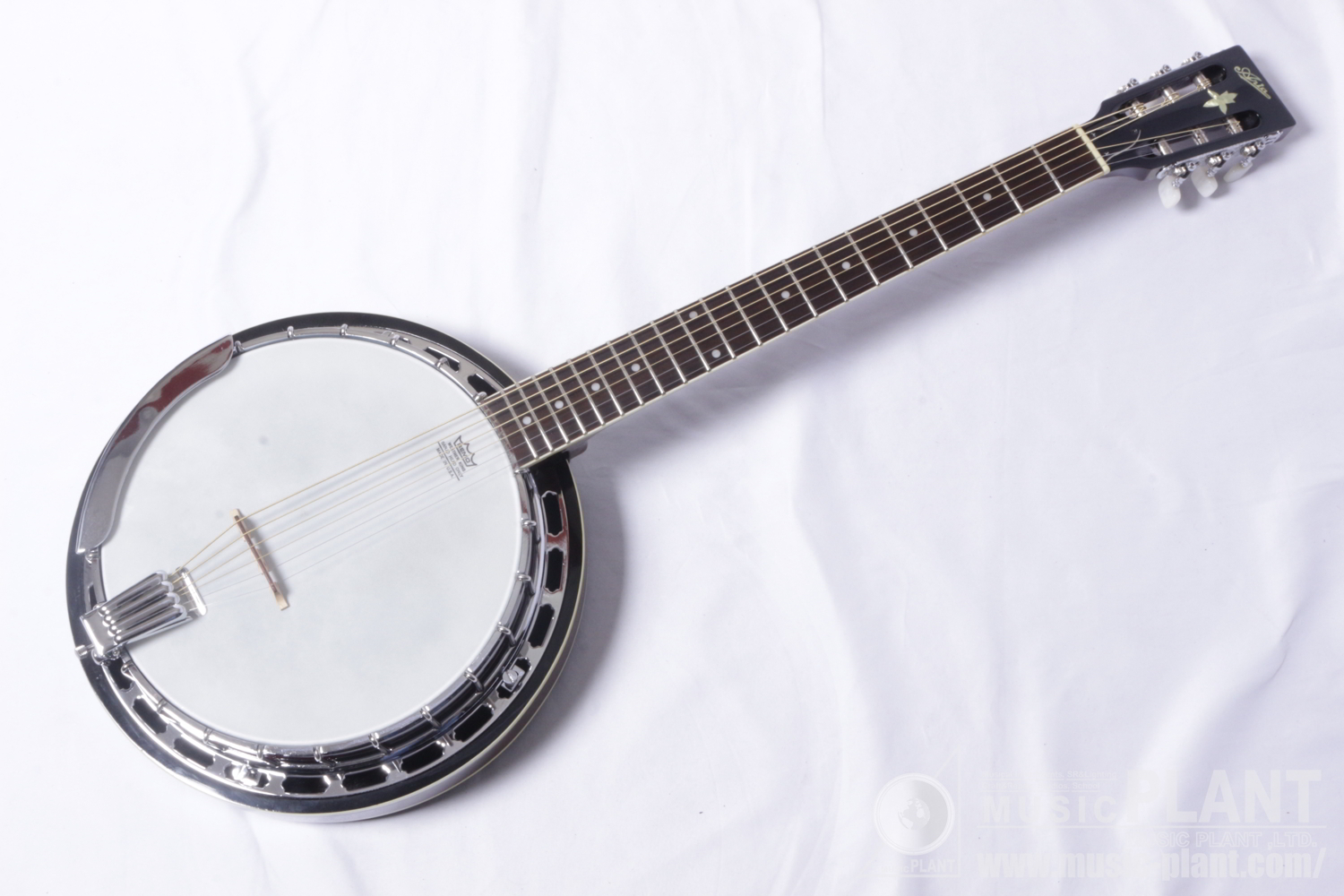 Aria ギターバンジョーSB-780G Guitar Banjo中古()売却済みです。あしからずご了承ください。 | MUSIC PLANT  WEBSHOP