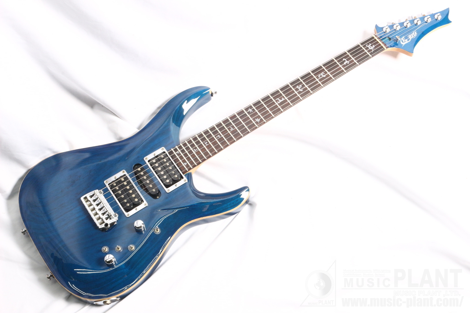 G-LIFE エレキギターDSG CLASSIC Caribian Ocean Blue中古品()売却済みです。あしからずご了承ください。 |  MUSIC PLANT WEBSHOP