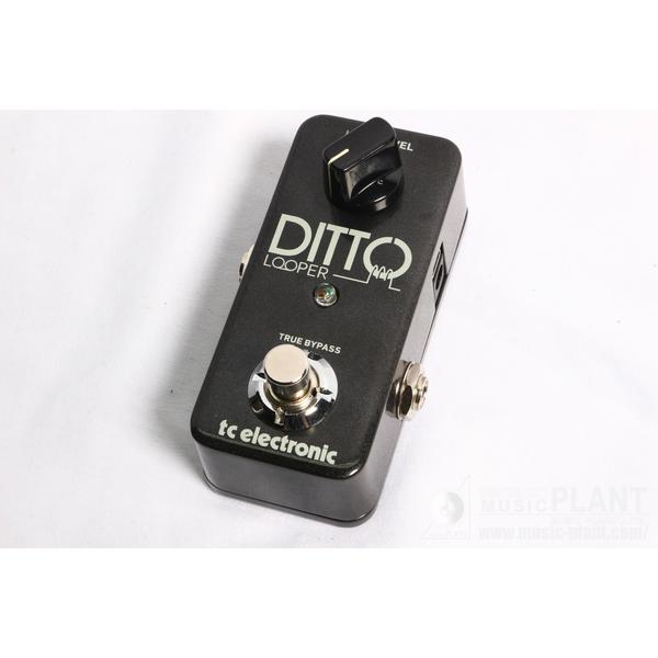 TC Electronic-ルーパーDITTO LOOPER