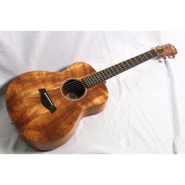 Taylor-エレアコGS Mini-e KOA