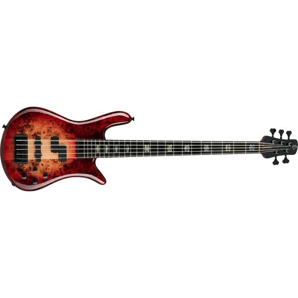 SPECTOR-5弦エレキベースEuro5 CST Natural Red Burst Gloss