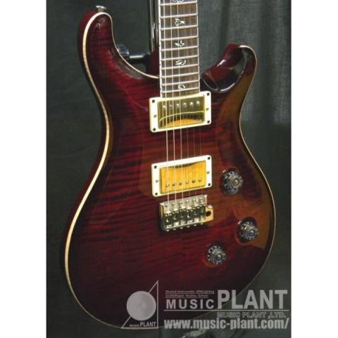 Paul Reed Smith (PRS)-エレキギターCUSTOM24 25Annivarsary Angry Larry