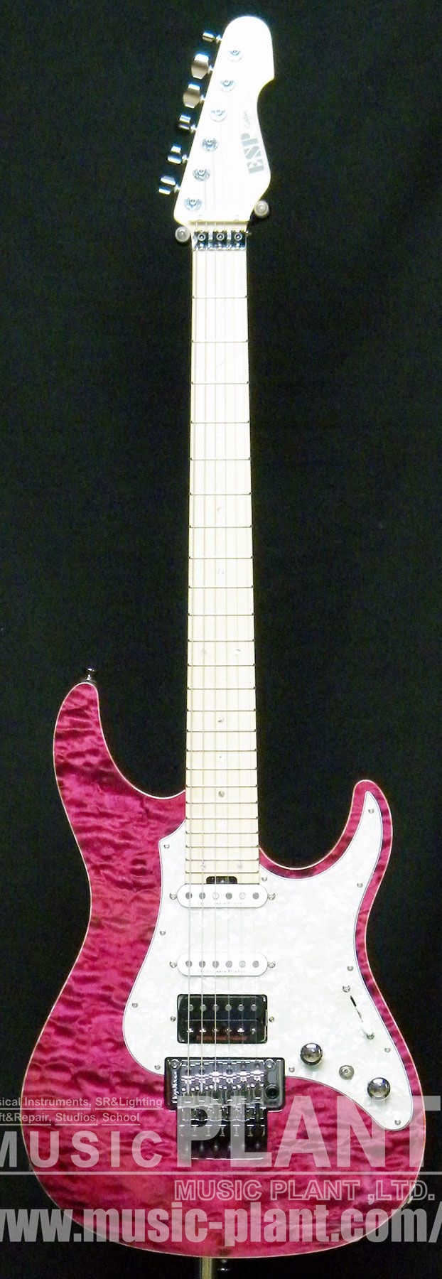 ESP エレキギター スナッパーSNAPPER-CTM24-FR新品()売却済みです。あしからずご了承ください。 | MUSIC PLANT  WEBSHOP