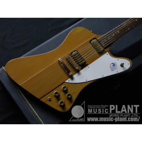 Gibson ファイヤーバード'78 FireBird NA中古()売却済みです。あしからずご了承ください。 | MUSIC PLANT WEBSHOP