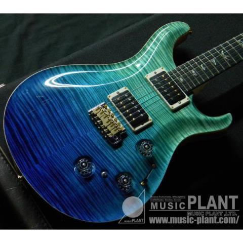 PRS se 2019 パーツ ピックアップ ペグ ストラップピン ノブ カバー