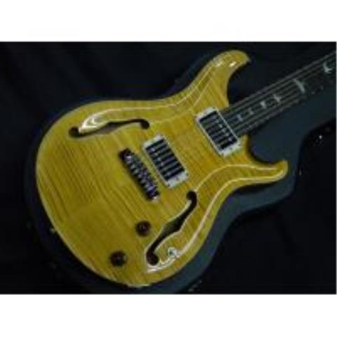 Paul Reed Smith (PRS)-12弦エレキギターHOLLOWBODY 10 TOP 12 STRINGS HONEY