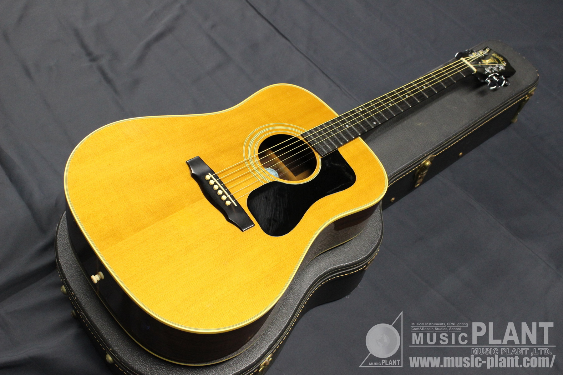 GUILD アコースティックギターD-50中古()売却済みです。あしからずご了承ください。 | MUSIC PLANT WEBSHOP