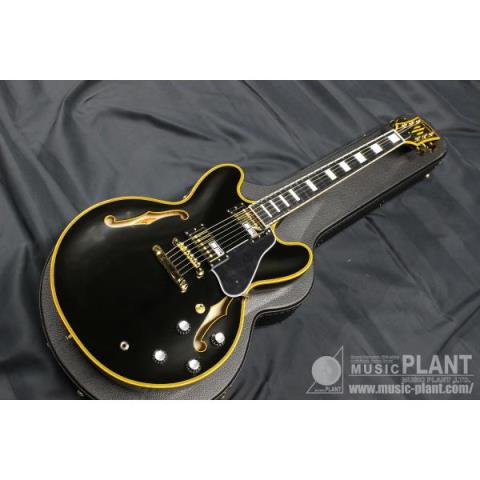 EDWARDS-セミアコースティックギターE-SA-180LTC Black