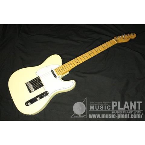 Fender-テレキャスターAmerican Standard Telecaster OWT