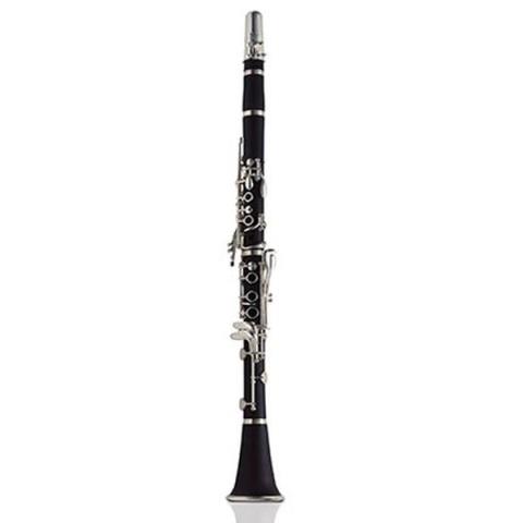 ASHTONCL10 CLARINET