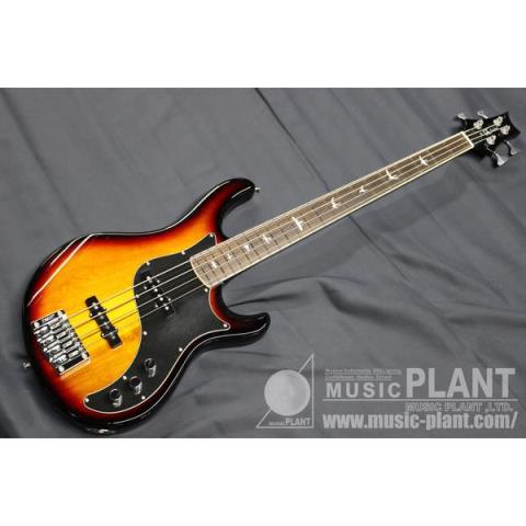 Paul Reed Smith (PRS)-エレキベースSE Kestrel Tri-Color Sunburst