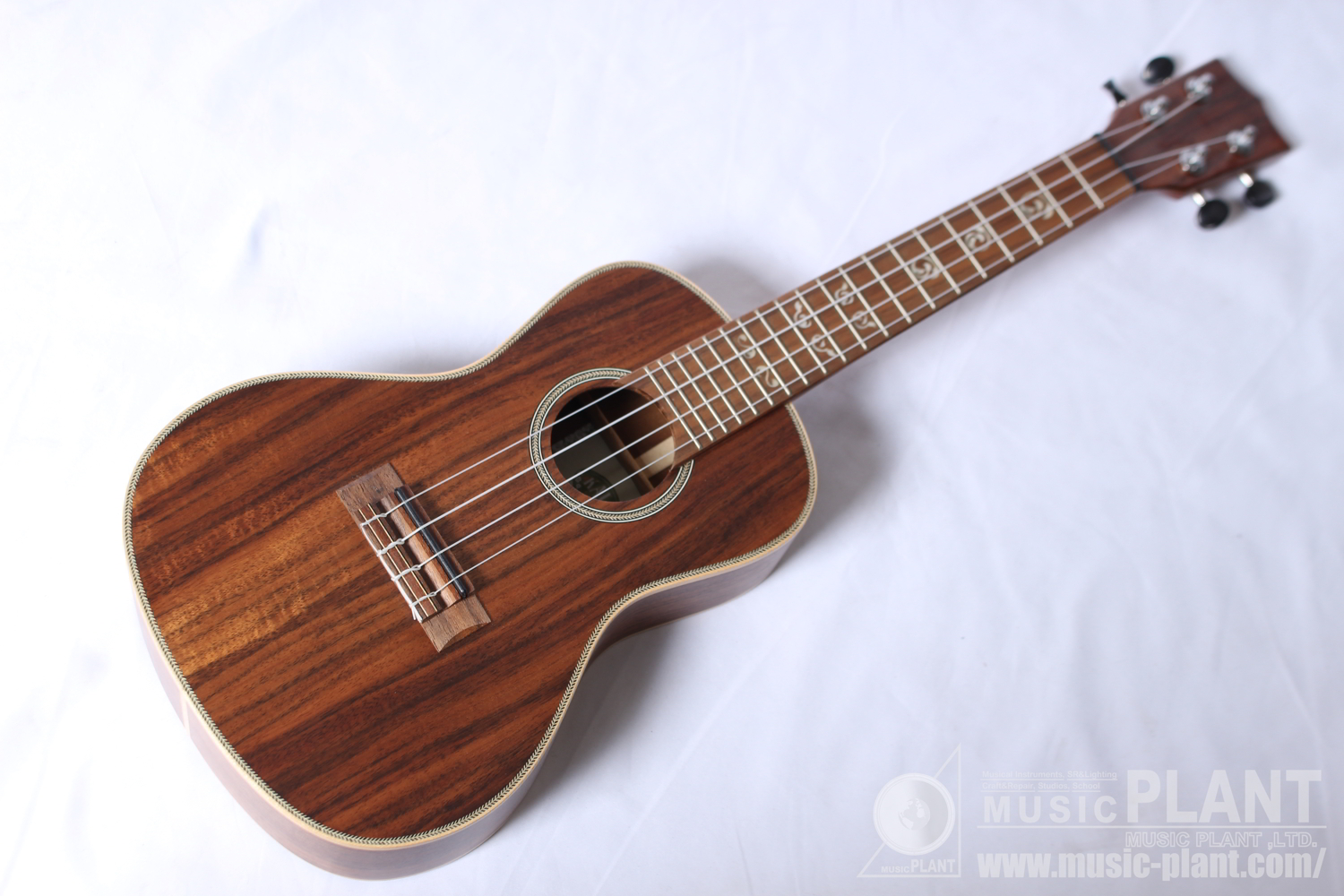 KALA UKULELE SOLID ACACIAシリーズ コンサートウクレレKA-SA-C新品生産完了品です。 | MUSIC PLANT  WEBSHOP